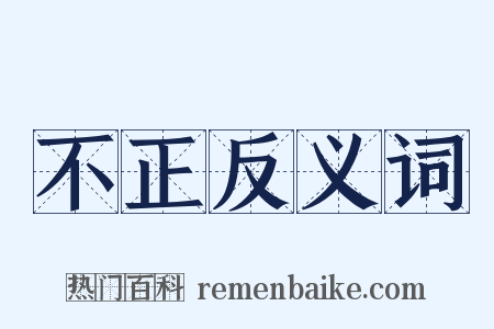 不正反义词是什么意思的图片